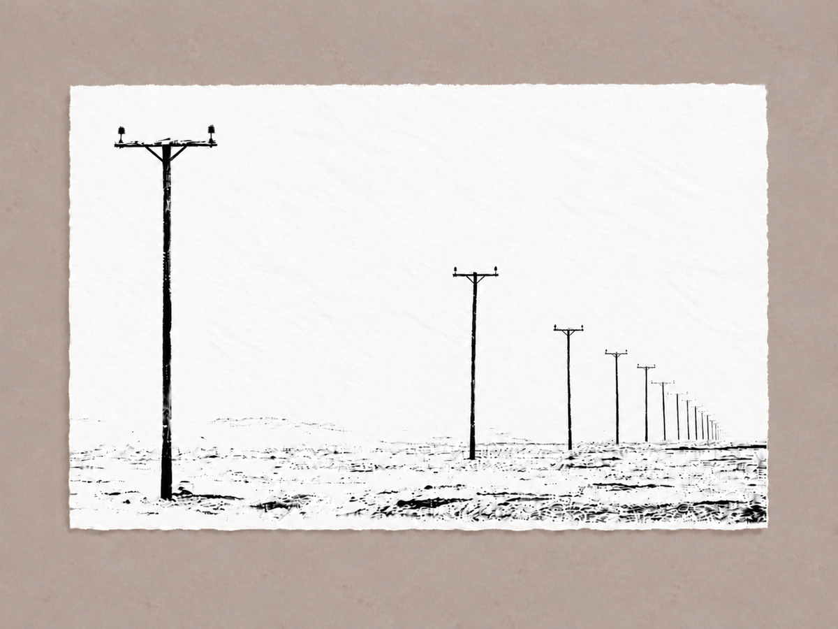 Alone We Stand Together – Gallery Edition