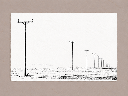Alone We Stand Together – Gallery Edition